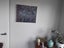 Midnight Gardens- acrylic by kiwi artist Carousel 5