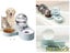 PTN NEW Automatic Pet Dog Sale Sale Carousel 1