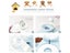 PTN NEW Automatic Pet Dog Sale Sale Carousel 10