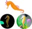 NEW Artificial Seahorse Aquarium Decoration Glowing Floating Ornament Carousel 3