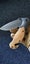 20cm GrayTitanium D2 Blade RopeCutter Outdoor Portable Pocket Folding Knife Gift Carousel 9