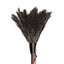 Redecker Ostrich Feather Duster Dark 30cm Carousel 2