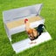 Chicken Feeder Waterproof Automatic Carousel 9