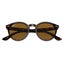 Ray-Ban Larry RB7680S 902/33 Havana Frame with Brown Lens Carousel 5