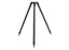 Loading Image 1 of 1