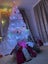 Christmas Tree - Xmas PINE Tree 1500mm + ONE Free LED Lights Carousel 5