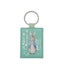 Beatrix Potter Peter Rabbit - Peter Rabbit Keyring Carousel 1