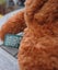 Adorable Russ Ripley Brown Teddy Bear - super cute Carousel 4