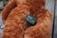 Adorable Russ Ripley Brown Teddy Bear - super cute Carousel 5