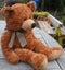 Adorable Russ Ripley Brown Teddy Bear - super cute Carousel 6