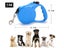 Pet Dog Lead - Retractable Carousel 7