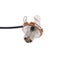 sports \u0026amp; entertainment metal Acoustic Guitar Transducer Pre-Wired Carousel 3