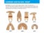 1pc NEWONE Carbide/Diamond Oscillating Saw Blades For Quick Change Multi-tools Carousel 3
