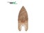 1pc NEWONE Carbide/Diamond Oscillating Saw Blades For Quick Change Multi-tools Carousel 5