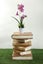 Wooden Book Table White Pages Carousel 1