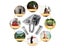 Swing Hangers Set Clearance - Clearance Carousel 4