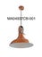 Pendant Light 50% OFF Carousel 1