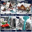 Christmas Train Park Building Set, Winter Village for Families with LED Lights Carousel 6