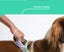 ZEE.DOG SOFTER WALK HARNESS - VOYAGE - MEDIUM! Carousel 7