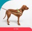 ZEE.DOG SOFTER WALK HARNESS - VOYAGE - MEDIUM! Carousel 10
