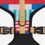 ZEE.DOG ADJUSTABLE AIR MESH HARNESS - YACHT! SMALL! Carousel 3