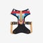 ZEE.DOG ADJUSTABLE AIR MESH HARNESS - YACHT! SMALL! Carousel 5