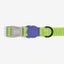ZEE.DOG REFLECTIVE NOX COLLAR - LUMEN! SMALL! Carousel 2