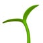 Loading Image 1 of 1