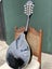 Fender Acoustic Electric Mandolin Carousel 5