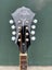 Fender Acoustic Electric Mandolin Carousel 8