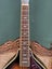 Fender Acoustic Electric Mandolin Carousel 4