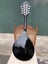Fender Acoustic Electric Mandolin Carousel 6