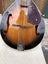Fender Acoustic Electric Mandolin Carousel 3