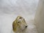 *SH 1055 - Set of 2 Dog Bookends Marble Sitting Dog for Home or Office Unique Carousel 3