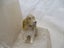 *SH 1055 - Set of 2 Dog Bookends Marble Sitting Dog for Home or Office Unique Carousel 5