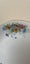 5 x Vintage China Floral Pattern Salad Bowls Peacock Stamped H9 Carousel 9