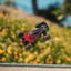 TYPHON GROM 223S BLX Brushless 4X4 Small Scale Buggy RTR with Battery & Charger, Carousel 16