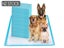 PTN NEW Puppy Training Pads Sale Sale Carousel 1