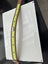 Dog collars various sizes and colours Carousel 3