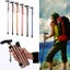 Walking Stick Foldable Full Size Black Best Seller Carousel 4