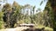 gallery view thumbnail