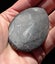 Orthoceras sp Fossil (approx 500 MYO). Early uncoiled Nautiloid from Morocco #3 Carousel 4