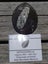 Orthoceras sp Fossil (approx 500 MYO). Early uncoiled Nautiloid from Morocco #3 Carousel 10