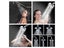PTN New Rain Shower Head Sale Sale Sale Carousel 2