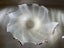 Vintage Large Opalescent Art Glass Bowl with Applied Red Glass Detail Carousel 1