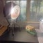 Old spot light Carousel 1