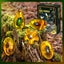 Amber Dig Kit-Artificial Insect Resin Carousel 9
