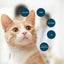 Pet Cat Dog Eye Ointment Pet Eye Ointment Corneal Inflammation Eye Ointment NEW Carousel 2