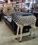 FABULOUS JUVENILE BURCHELL ZEBRA MOUNTS Carousel 5