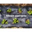 Instahut 1.83x100m Weed Mat Woven Fabric Weed Mat Control Matting Garden Plant Carousel 6